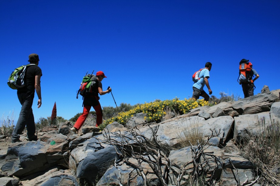 Abenteuer erwartet Sie: 5 atemberaubende Wanderungen zum Erleben der Naturschönheiten Teneriffas