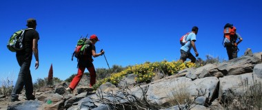 L'avventura vi aspetta: 5 escursioni mozzafiato per conoscere la bellezza naturale di Tenerife